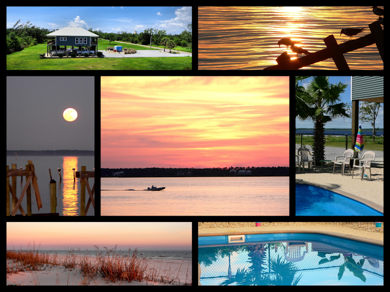 arkplacecollage