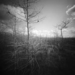 What is Pinhole Photography?