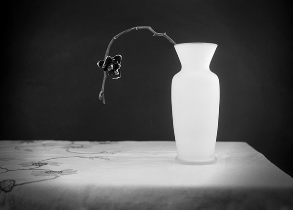 Vase and Flower @Rudy Umans