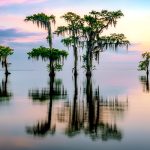 Getting to Know Rick Berk
