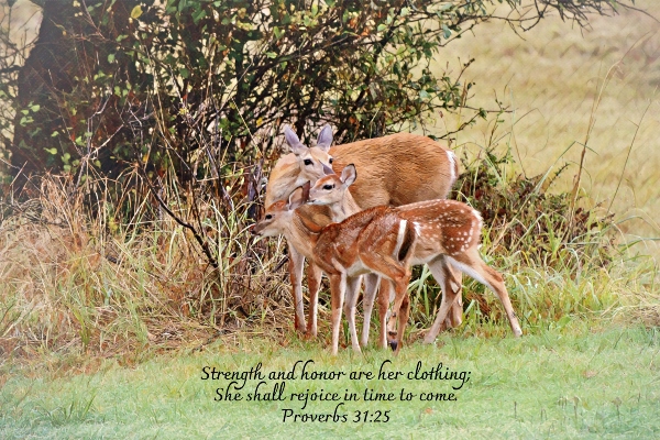 Mothers Day Deer Babies and Scripture ©Gaby Ethington