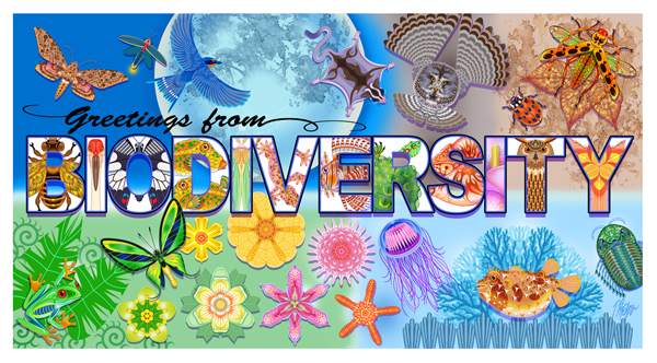 Greetings from Biodiversity ©Tim Phelps