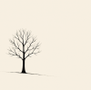 negative space