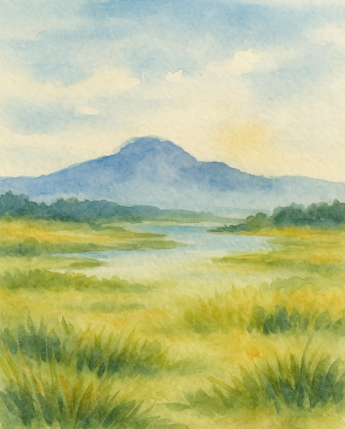 Layering Watercolurs