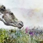Getting To Know Belinda Grebb