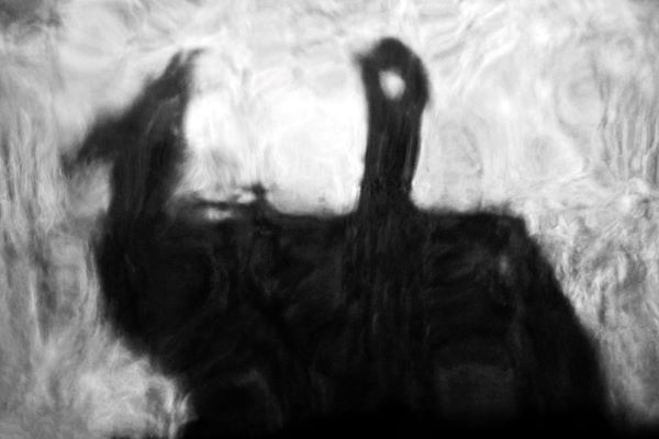 The Illusion of Shape ©Joshgun Suleymanov