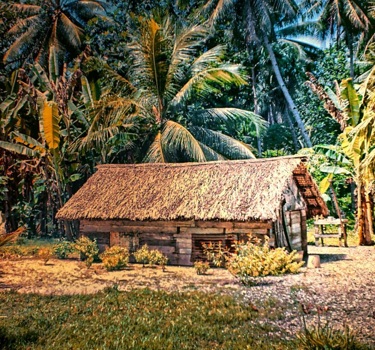 BLOG #10 – World Photography Day